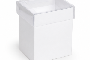 ChatGPT Image 5 de set. de 2026, 08_46_48
